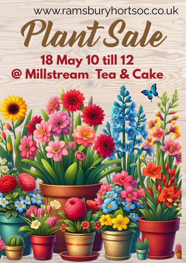 village fete